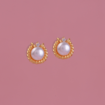 Casual Earring Studded With Pearl