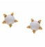 Pearl & Gold Flower Studs