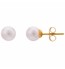 Dailywear Classic Pearl Studs | GTCU032P