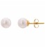 Classic Gold Pearl Studs | GTSSS02P