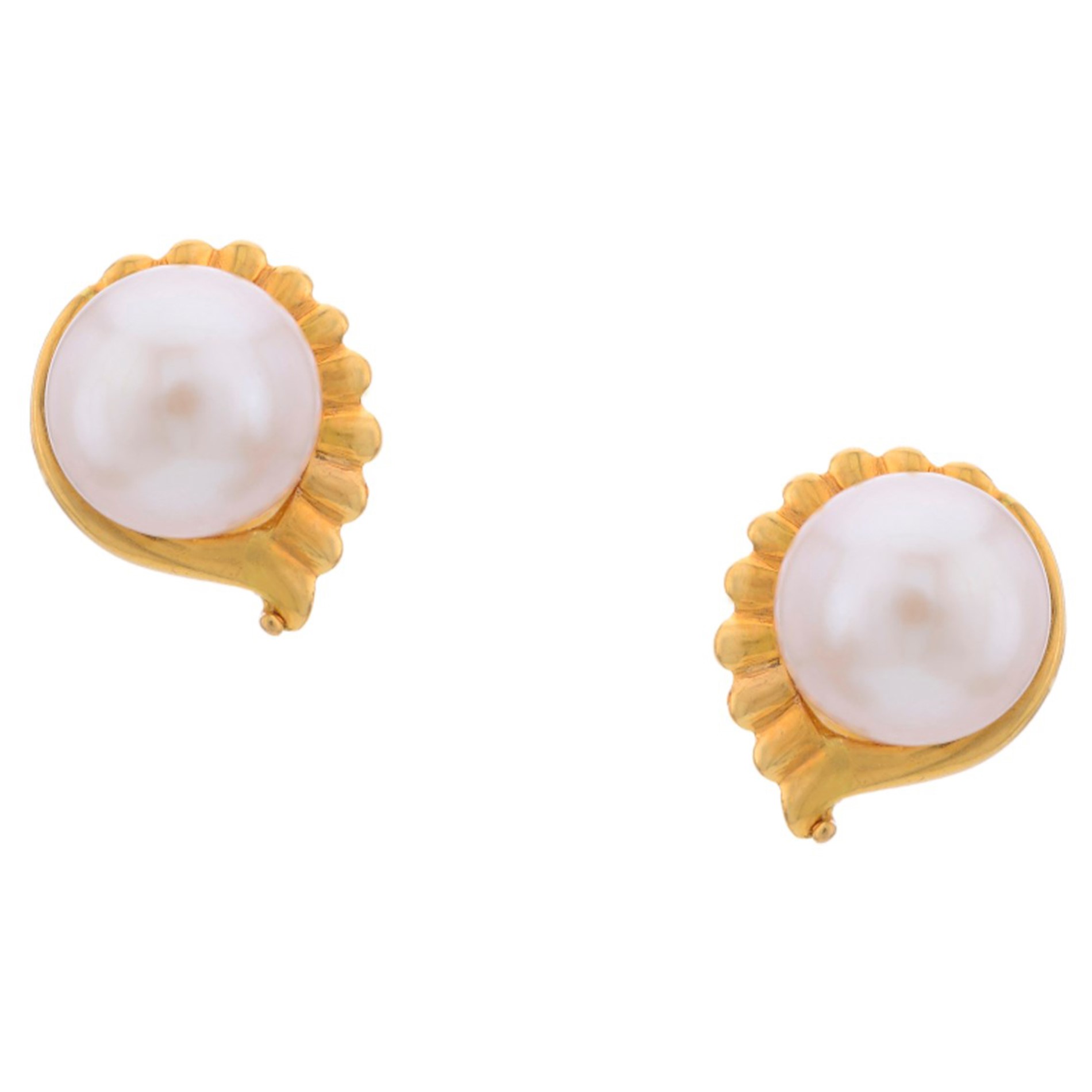Buy Pearl Conch Studs online