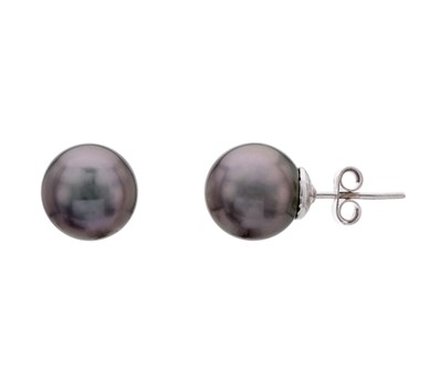 Tahitian Pearl Studs Earrings