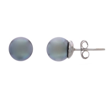 Tahitian Gold Pearls Studs Earrings | GTTHS02P