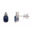 Blue Sapphire & Diamonds Studs Earrings